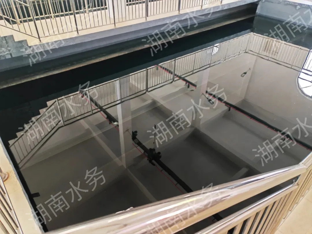 寂寞的少妇的诱惑