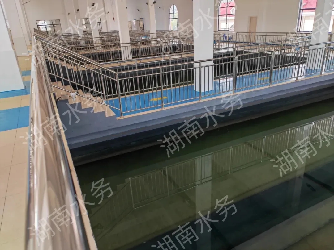 寂寞的少妇的诱惑