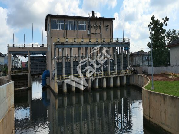 寂寞的少妇的诱惑