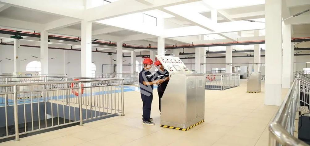 寂寞的少妇的诱惑