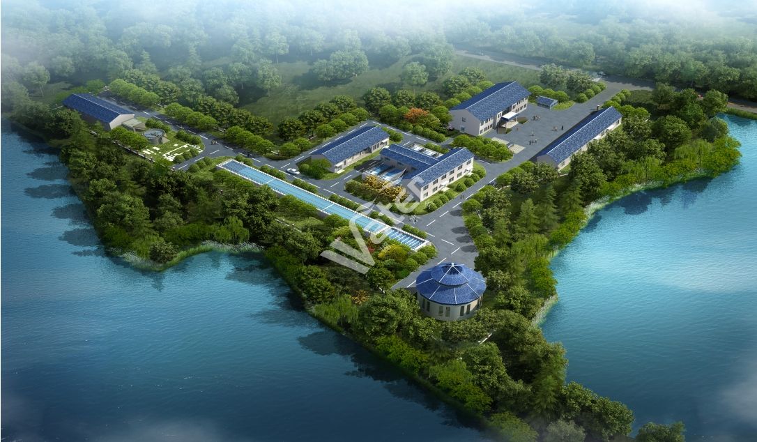 寂寞的少妇的诱惑