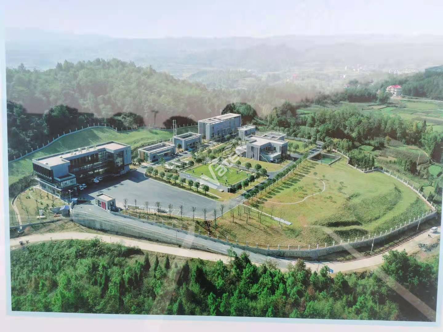 寂寞的少妇的诱惑