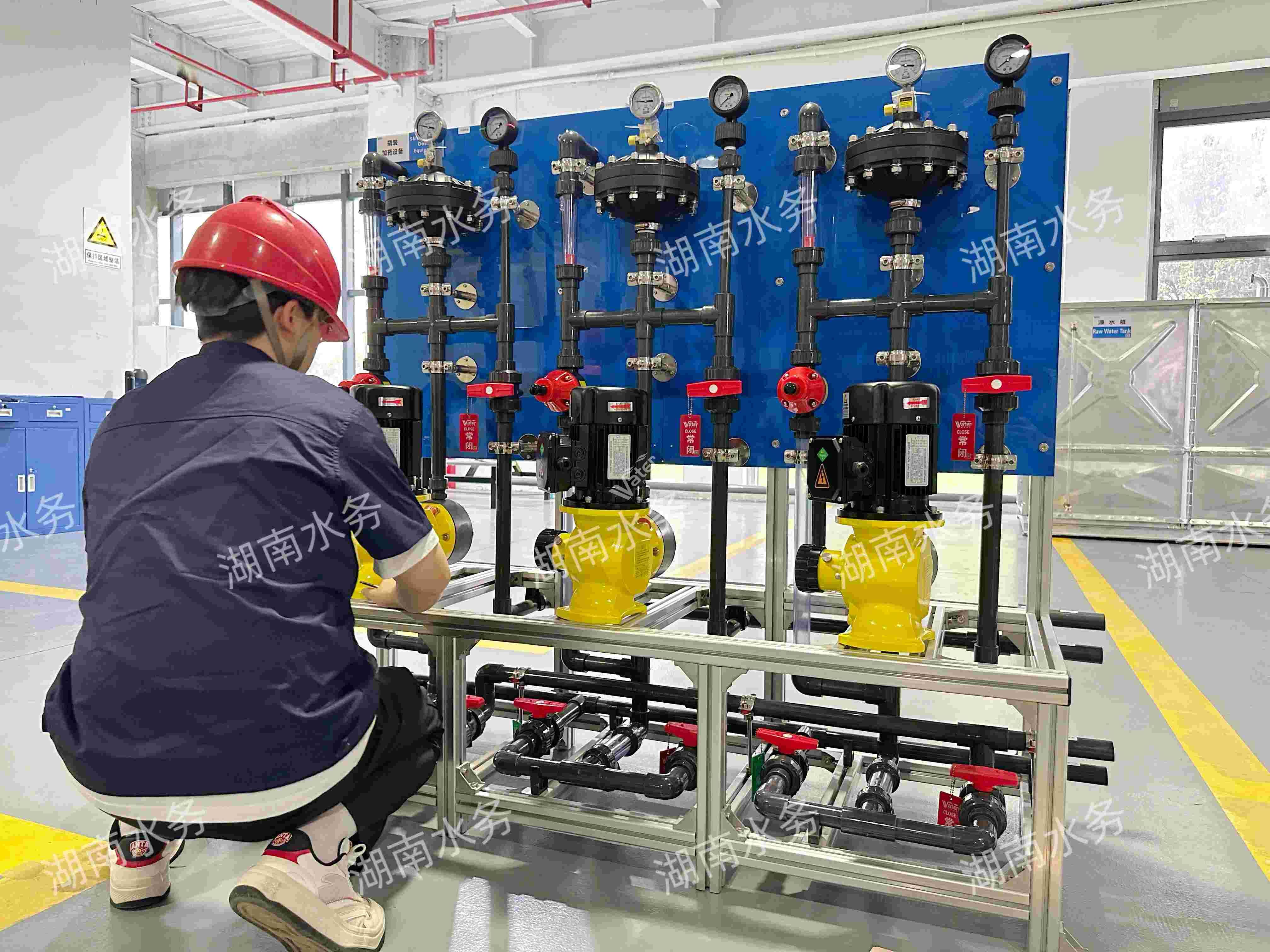 寂寞的少妇的诱惑