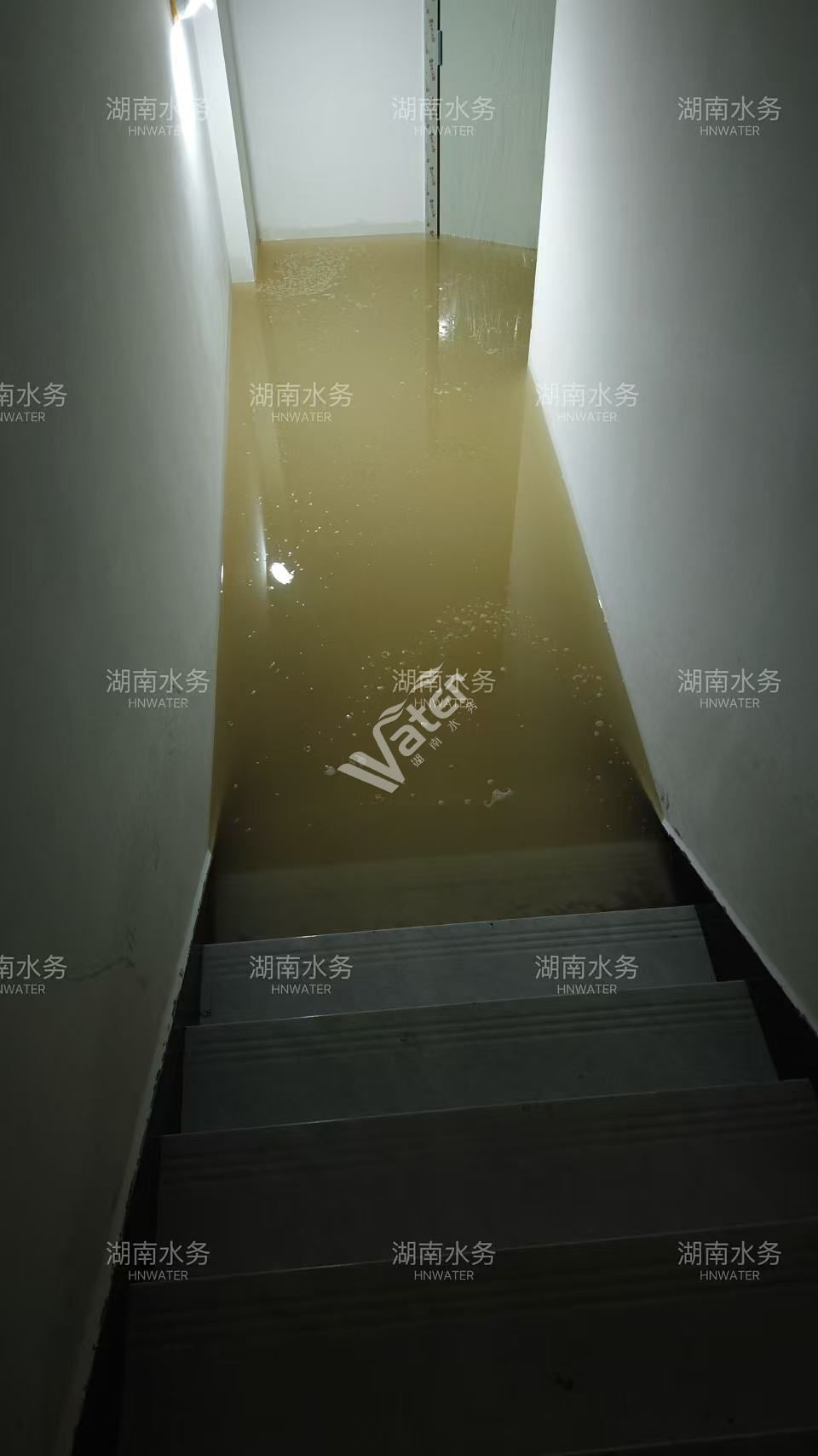 寂寞的少妇的诱惑