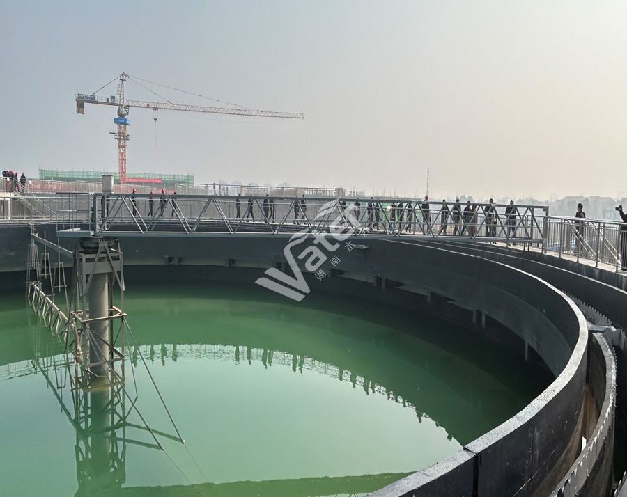 国内某污水处理厂项目
