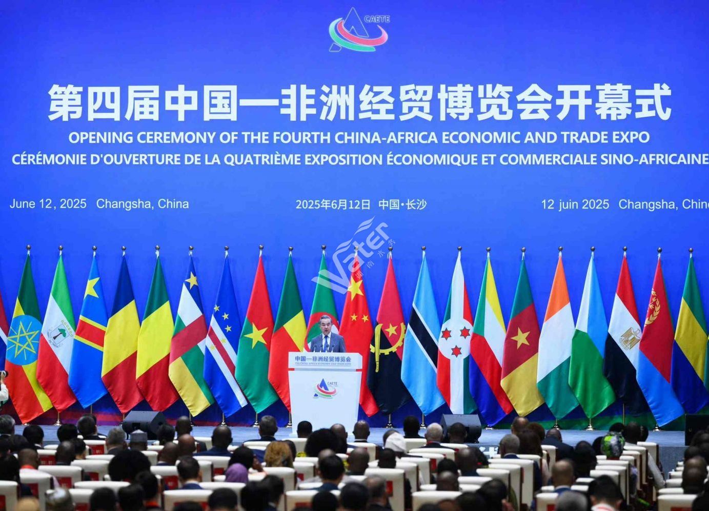 第四届中国-非洲经贸博览会在长沙举行